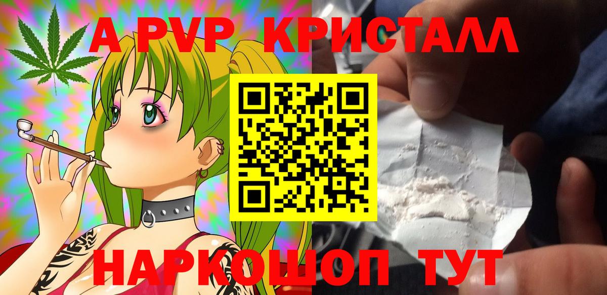APVP СК Киселёвск