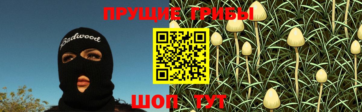 Галлюциногенные грибы Cubensis  Вход с VPN  Киселёвск 